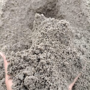 WhatsApp Image 2024-05-14 at 10.53.14 (1)