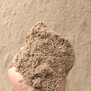 WhatsApp Image 2024-05-14 at 10.53.14 (2)