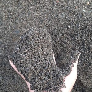 WhatsApp Image 2024-05-14 at 10.53.19 (1)