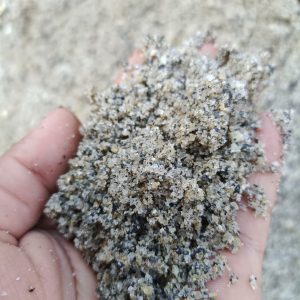 WhatsApp Image 2024-05-14 at 10.53.20 (3)