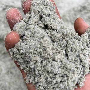 WhatsApp Image 2024-05-14 at 10.53.50 (1)